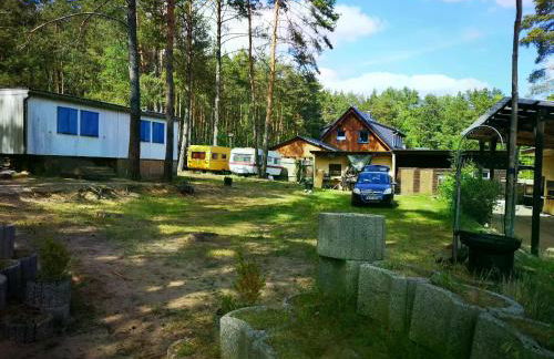 Bungalows im Grünen - Photo 32