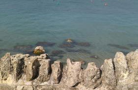 Saltwater Lodge - Air Conditioned 75yrd to the sea - Photo 17