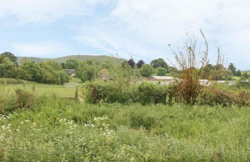 Little Willow - Foto 25