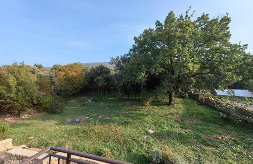 Apartment Sunset - Photo 8