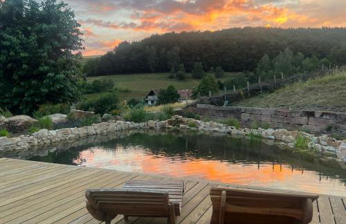 Blockbohlen HolzHaus mit Sauna, Outdoor Jacuzzi und BadeTeich - Foto 75