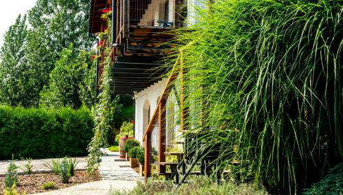 Winnica Płochockich Country House - Foto 5