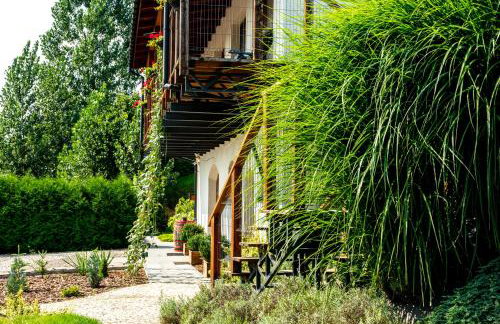 Winnica Płochockich Country House - Foto 5