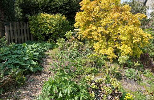 Bell Hill Cottage - Foto 17