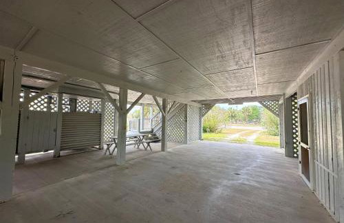 Shark's Tooth - Foto 5