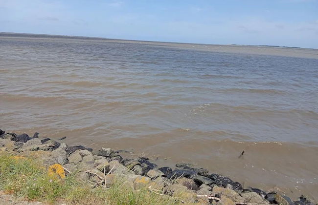 Holiday Bungalow in Dornumersiel - Foto 23