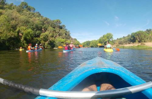 MONTE DO SALTO DA RAPOSA - Foto 33