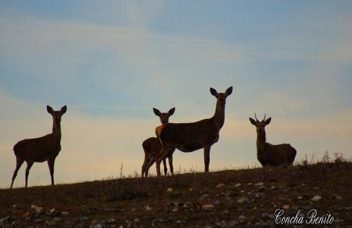 Fuente Del Arca - Foto 26