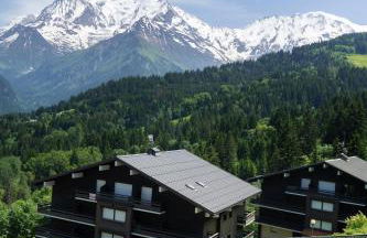 Studio cabine Au Loup Blanc avec vue Mont Blanc - Foto 26