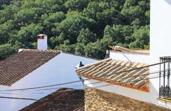 Casa La Abubilla by SIERRA VIVA - Foto 23