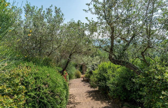 Dalmanuta 8 in Collelungo - Foto 41