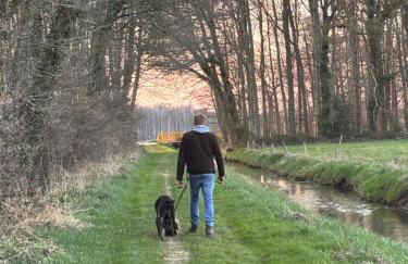Gästezimmer auf dem Erlenhof - Foto 3