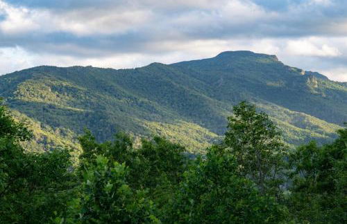 Pretty Spectacular - Foto 51