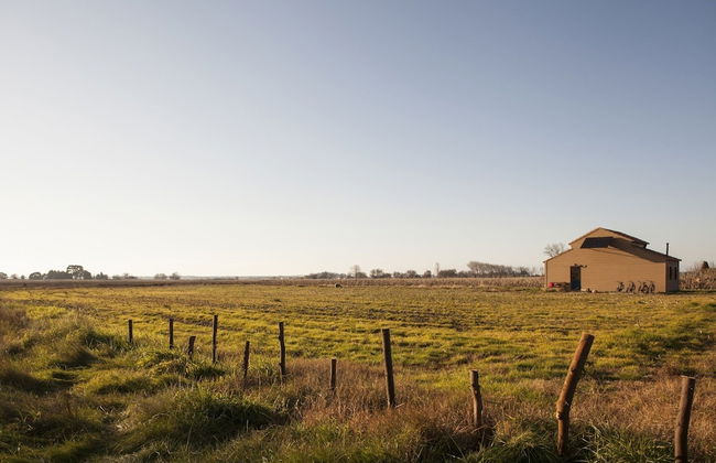 Be & See in Nature - Foto 14