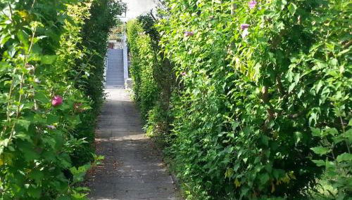 Giverny, Cosy studio au vert - Foto 3, Garden