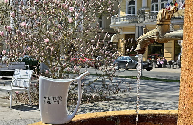 Marienbad Apartment - Foto 65