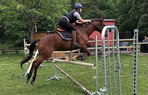 Domaine de Valmeray la roulotte d'Elise - Foto 15