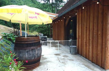 Het gevoel van vrijheid tussen bos en dorp - Foto 21