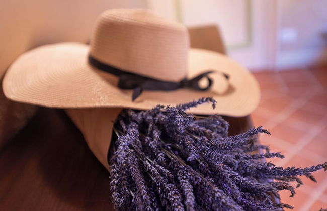 Agriturismo Le Querce del Vareglio - Photo 15