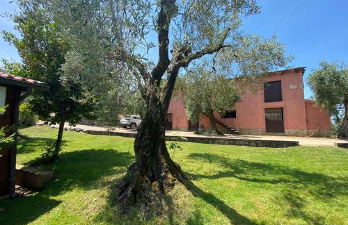 I Giardini Di Margius - Foto 18