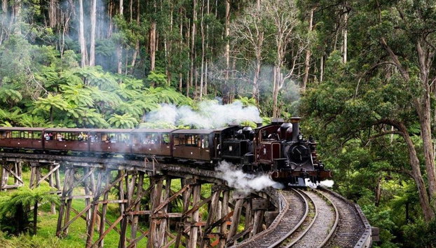 Puffing Billy Railway and Wildlife Tour - Photo 2