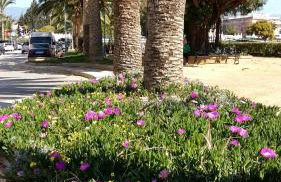 Apartamento BellaVista Algarrobo - Foto 43