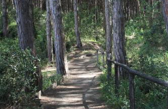 Villa Ginevra - Foto 13