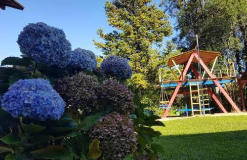 Apto ao lado da Rua Torta - Photo 19