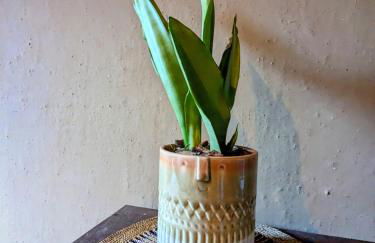 Wohnung am Waldrand - Foto 24