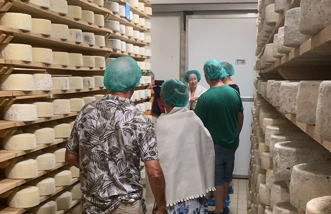 Premium Private Prosecco Hills Tour - 2 Cantine. Tour privato. - Foto 20