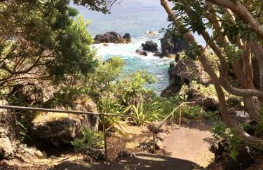 Casa do Almance - Photo 44