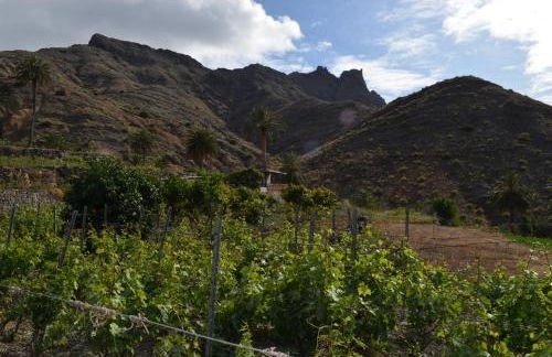 Galeón Ossorio Vistas Panoramicas - Foto 6