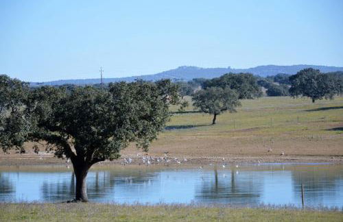Monte da Boavista - Country family house - Foto 67