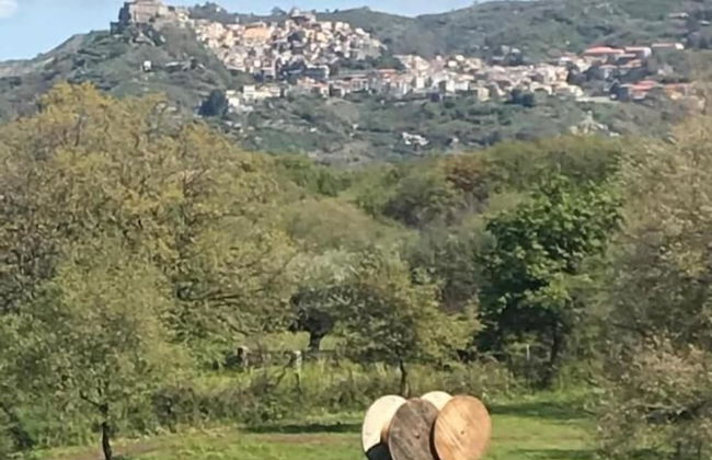 Il Tanaceto - Foto 39