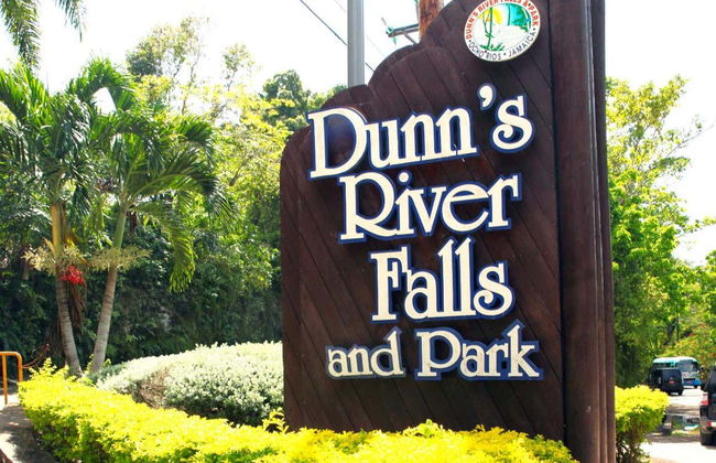 Dunn's River Falls Day Trip - Photo 3