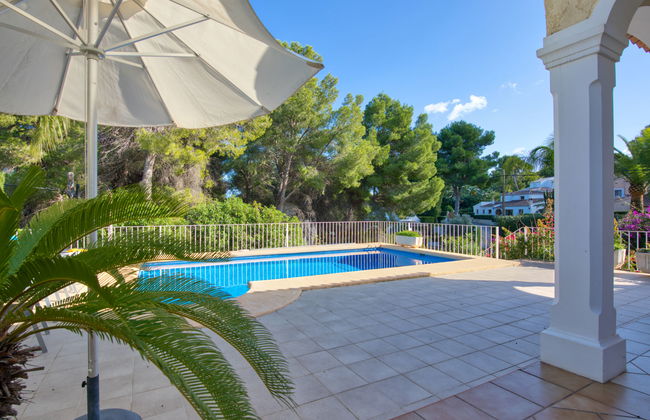 Eucaliptus - Foto 36