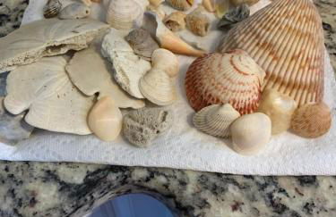 Very Private 3 Bed Home with HEATED Pool Palms and Big Fenced Yard - Foto 22