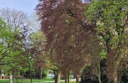 Mit Blick in den Emsseepark - Foto 12