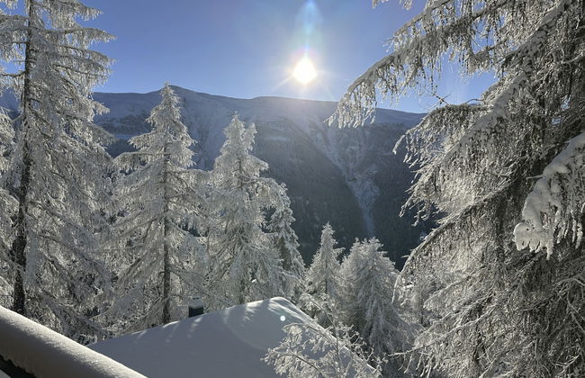 Chalet Soldanella (BEL205) - Foto 26