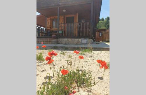 Cabaña de madera especial y acogedora - Foto 6