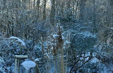 Schöne 120-qm-Ferienwohnung - Sonnenterrasse - Stadtgrenze Lübeck - Foto 23