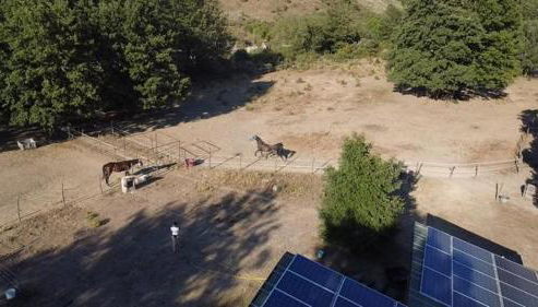 Agriturismo In Campagna - Foto 5