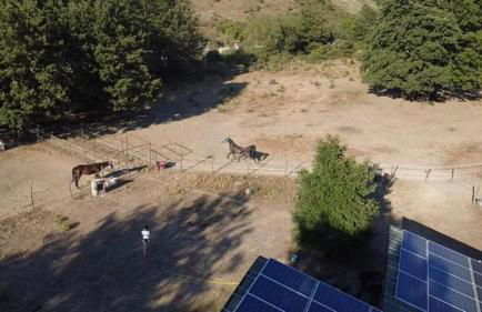 Agriturismo In Campagna - Foto 5