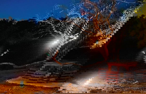 River Paradise Safari House with Cooking Class - Photo 26