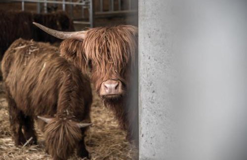Archehof Hochzirm Lodge Franz - Foto 21