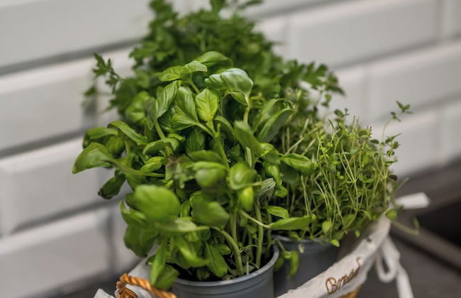 Auchlishie Apartment - Foto 6