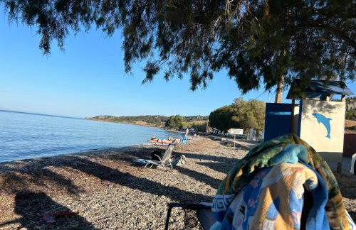 Fotis Apartments - Foto 3