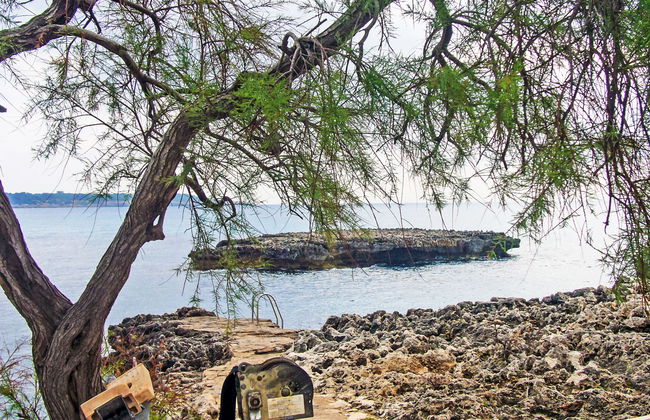 Fonoll Mari - Foto 20