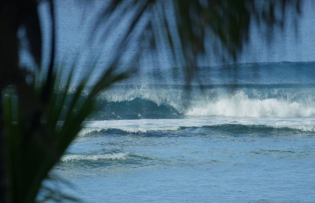 Ocean Escape Resort&Spa - Photo 5