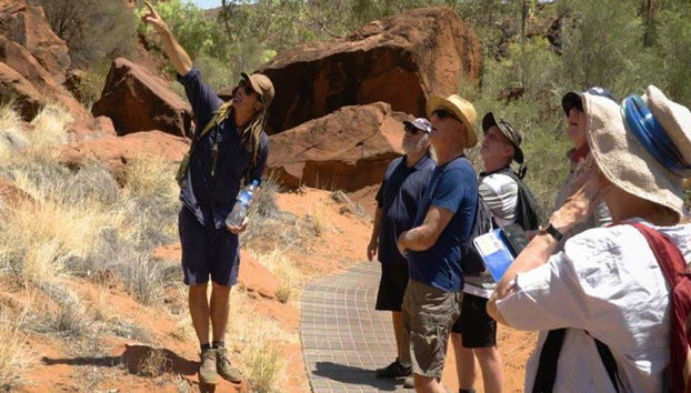 Palm Valley et Promenade en 4x4 - Excursion d'une Journée - Photo 5